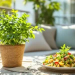 Deze aromatische plant, essentieel voor een perfecte zomer, parfumeert je gerechten, beschermt je interieur en trekt geluk aan