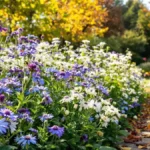 Transformeer uw tuin deze herfst met deze bijzondere bloem die u vandaag nog kunt planten